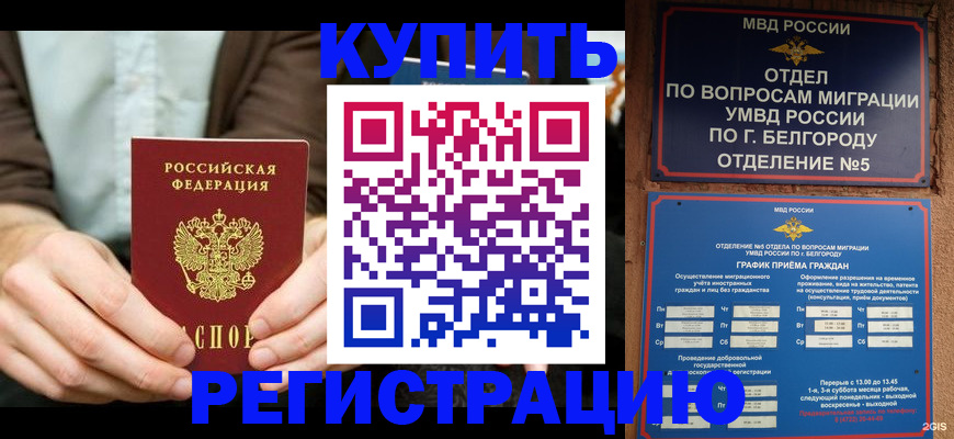 прописка 2025 в Белокурихе